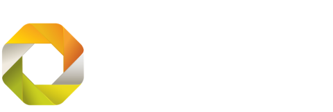DSC logo