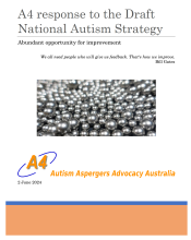 cover of A4's "silver buckshot" response document
